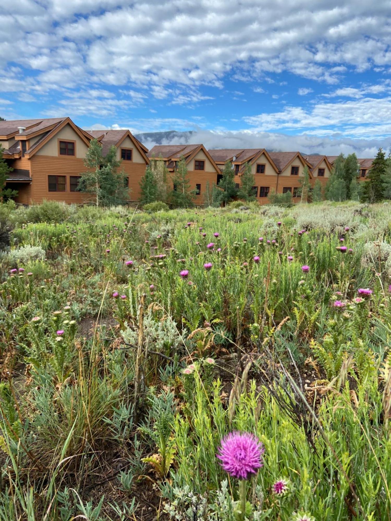 Antlers Gulch 303 Villa Keystone Buitenkant foto